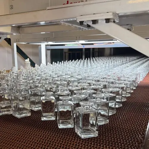 Step 5 Mass Production